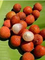 lychees